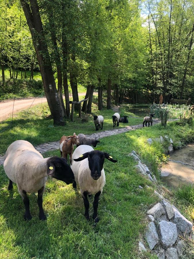 Kamenacka Myslivna Hotel Moravany  ภายนอก รูปภาพ